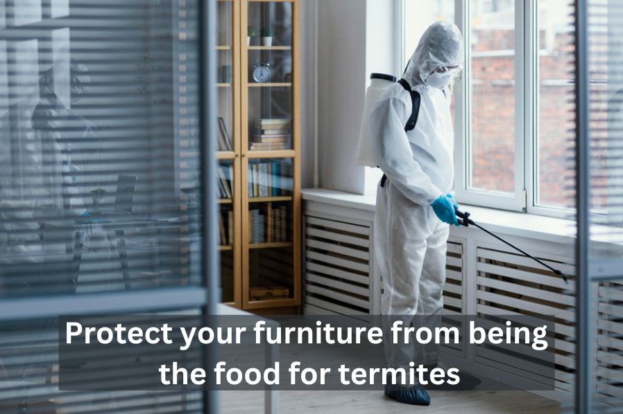Protect Your Furniture From Being The Food For Termites